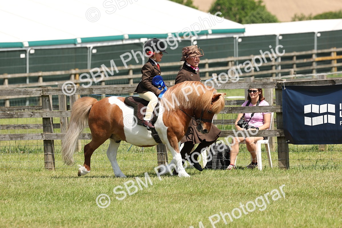 SBM_05400 - Class 24-25 - Mountain & Moorland In Hand Lead Rein and First Ridden