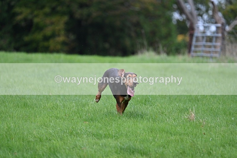 WJ7_4319 - Camera 1 Line 3