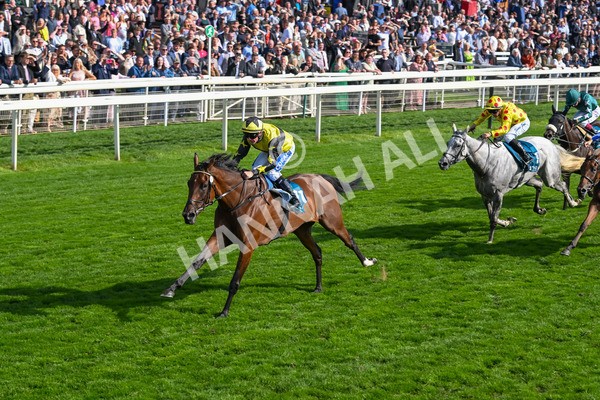 220825-Race 5-Cape Flora-7677 - Race 5 4.10pm Assured Data Protection EBF Fillies' Handicap