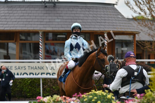 yr12052021r3-29 - Race 3 2.40pm Duke of York Clipper Logistics Stakes