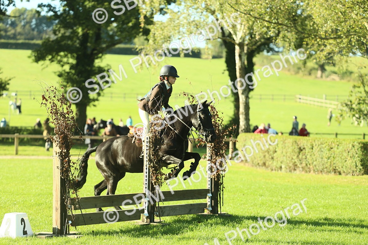 SBM_36315 - S29 - Novice & Newcomers Working Hunter Pony