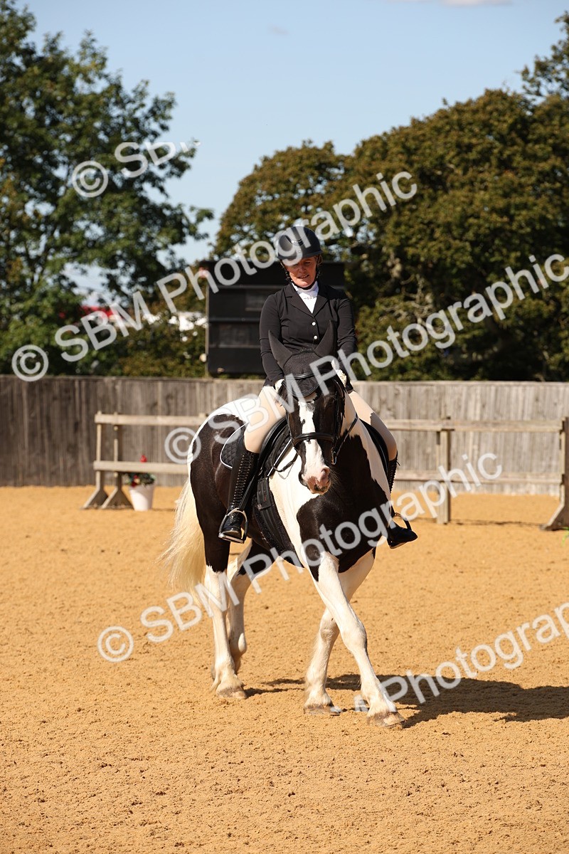 SBM_24125 - D5 - Small Tour Championship - Intro C