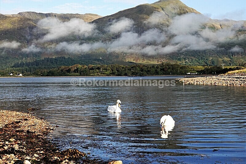 DSC07791 - SEPT 2020 STAYCATION