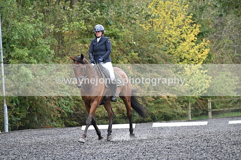 WJ7_6116 - Time 14:10 to 14:45