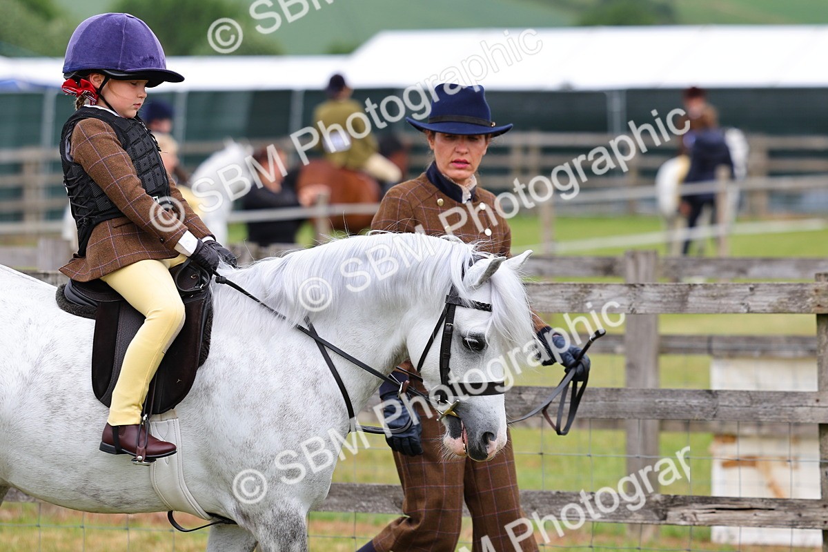 SBM_08075 - Class 42-43 - LIHS BSPS Heritage Working Sports Pony