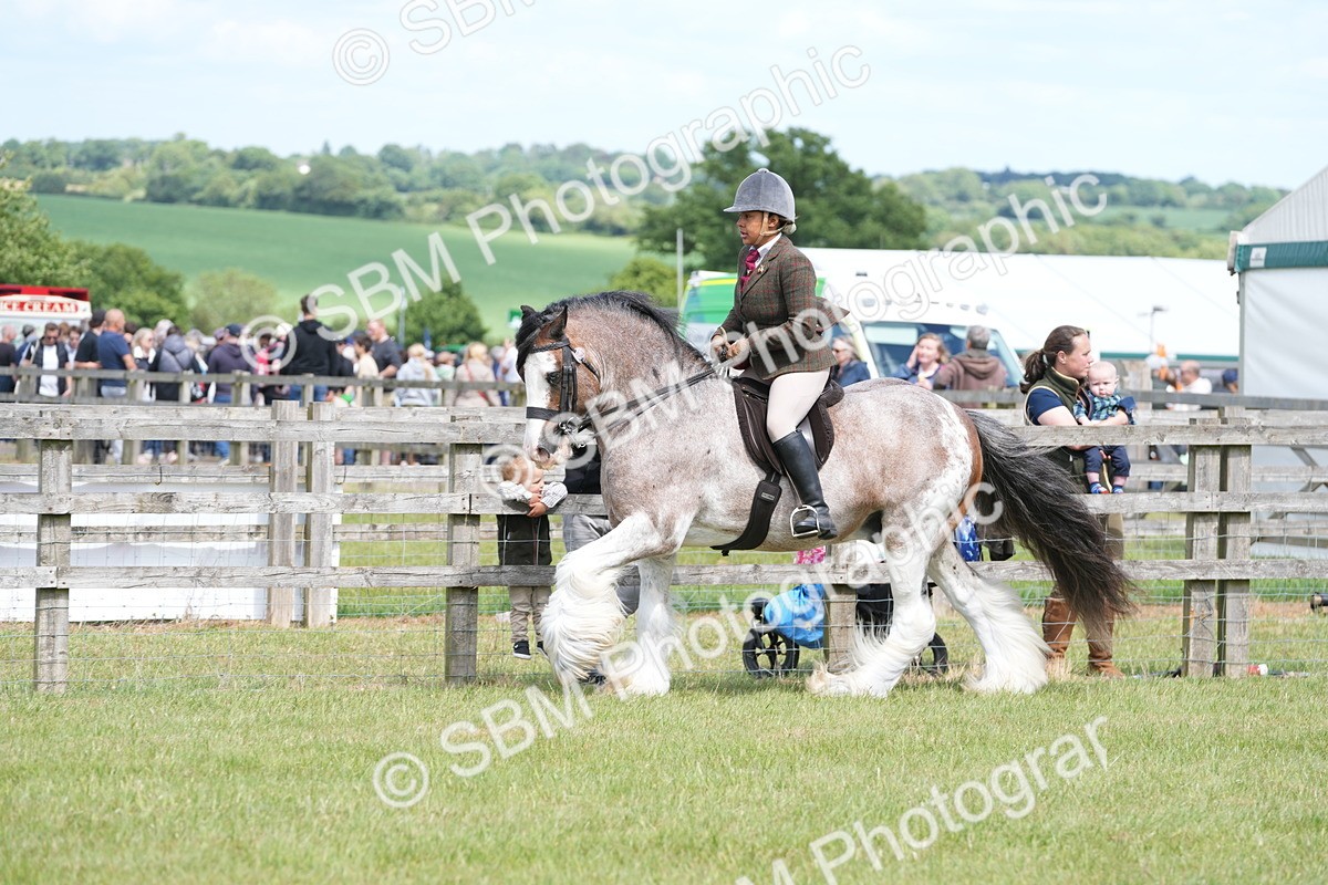 SBM_17169 - Class 107-108 - LIHS BSPS Performance Coloured Horse Pony