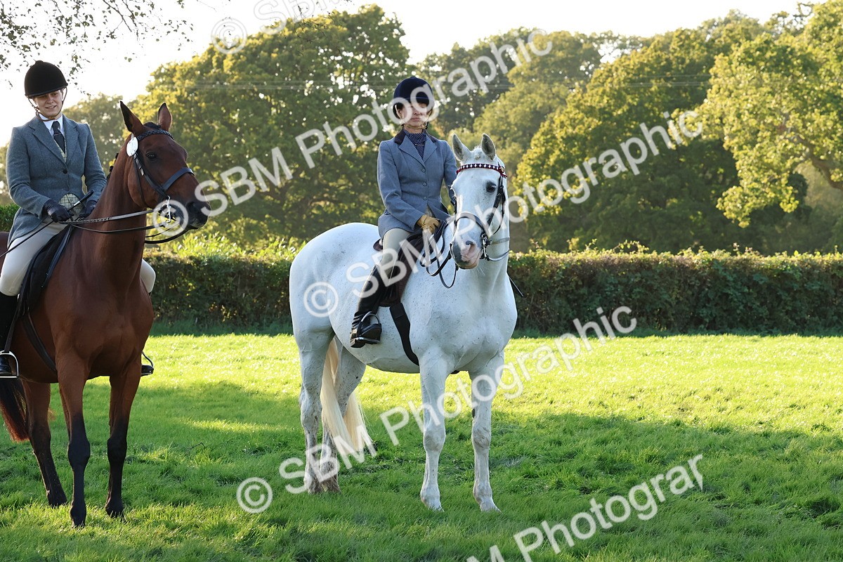 SBM_53081 - S29 - Mature Veteran Ridden