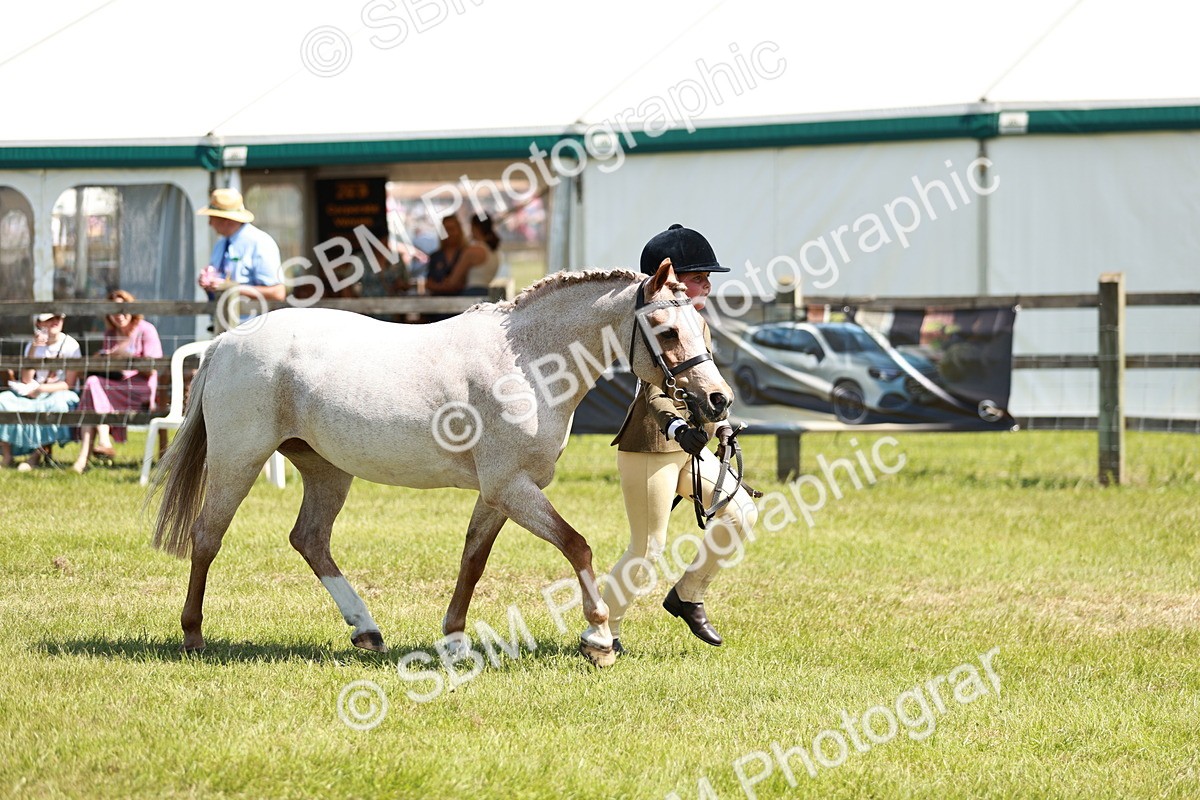 SBM_13642 - Class 108-109 - BSPS LIHS Open Gradle & Nursery Stakes
