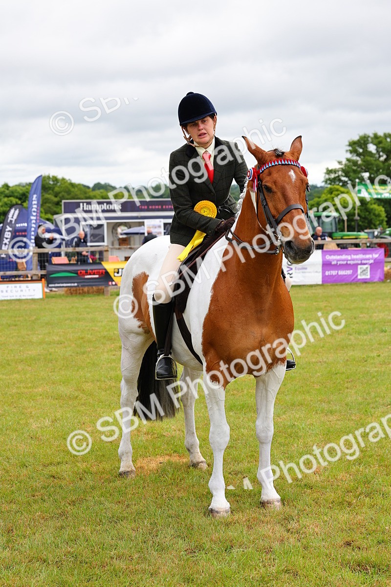 SBM_02559 - Class 9-11 Side Saddle including LIHS Rising Star Ladies Show Horse