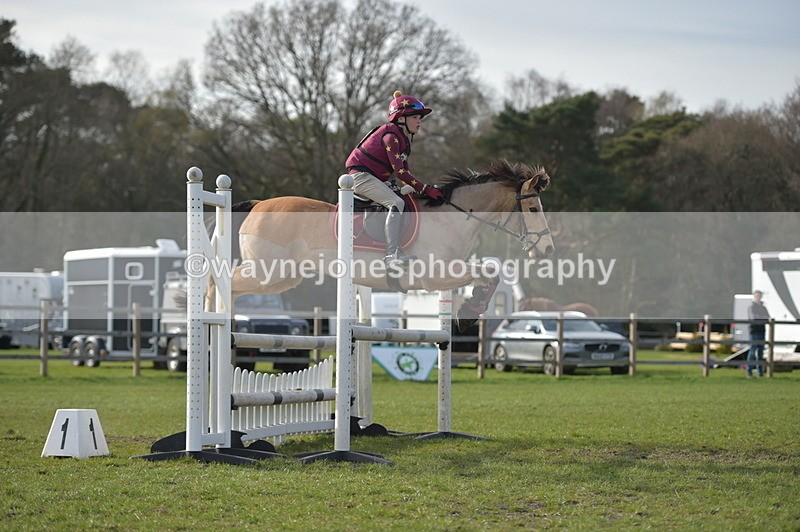 NGP_3462 - Time 15:12 to 15:46