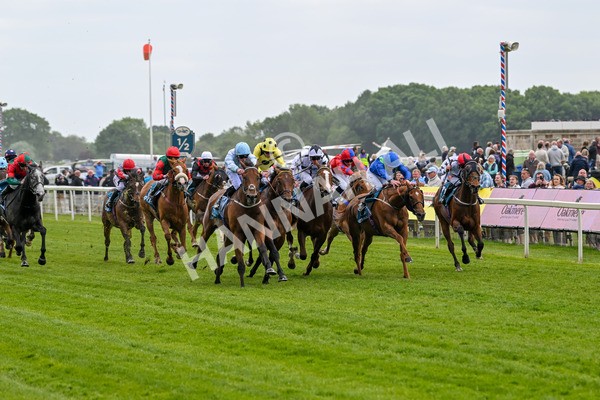 150525-Old Cock-4044 - Race 2 2.42pm Oakmere Homes Hambleton Handicap