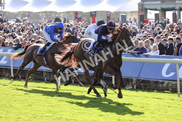 yr08102022r3-36 - Race 3 2.40pm The Coral 'Beaten-by-a-Length' Free Bet Handicap