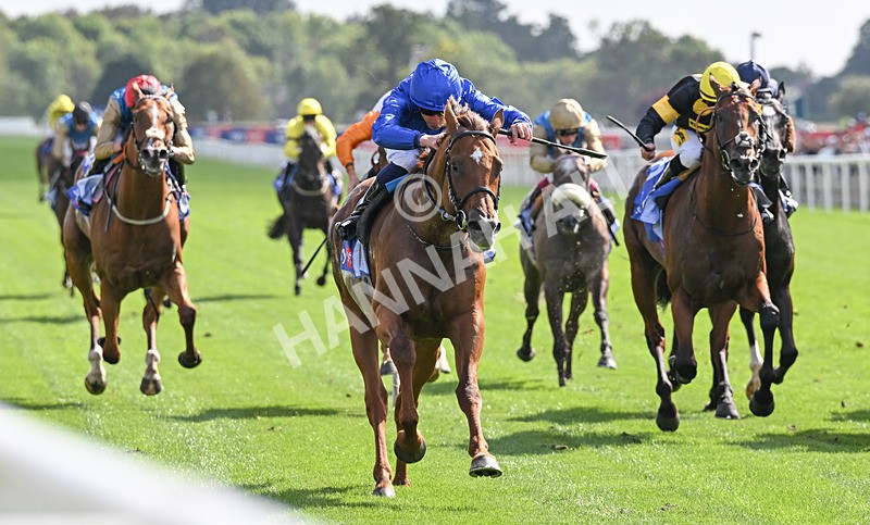 220826-067 Notable Speech - Race 3 15.00pm Sky Bet City Of York Stakes
