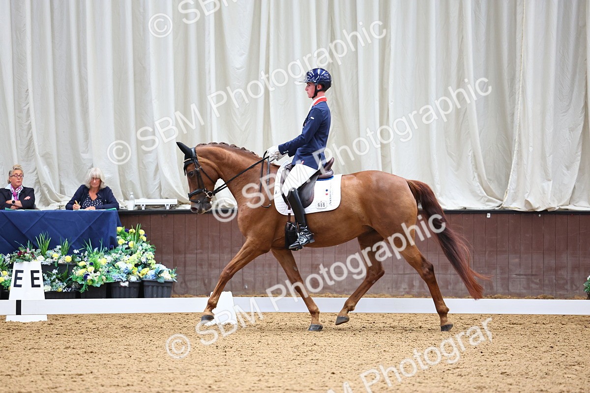 SBM_006038 - Class 5 - Novice 6 - 10.47-11.43