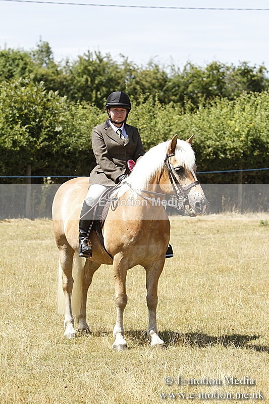 _BS_0875 - BVRC Show 2018 Ring 1