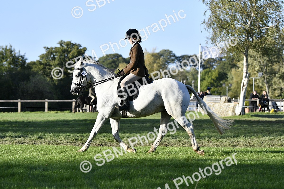 SBM_53526 - S14 - Riding Club Horse