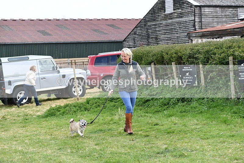 WJ5_0083 - Class 5 Best Veteran / 7 years & over