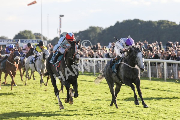 141023-Race 6-Punctuation-0654 - Race 6 4.10pm Coral Get Closer To The Action Handicap