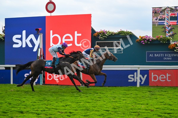 230825-Race 7-Dain Ma Nut In-0942 - Race 7 5.20pm Sky Bet Steve Birch Finale Handicap