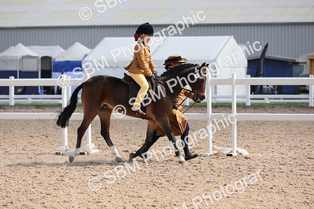 SBM_13982 - Class 309 Lead Rein Pony