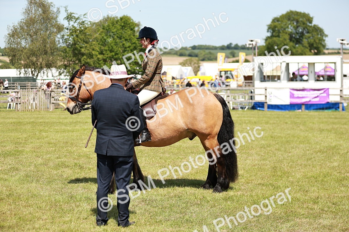 SBM_07096 - Class 26-30 - Mountain and Moorland Ridden