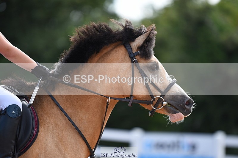 230718A-162036-00073 - 60cm