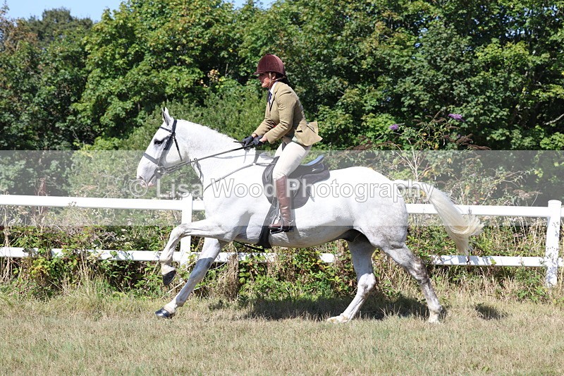3E7A6439 - Working Hunter Championship