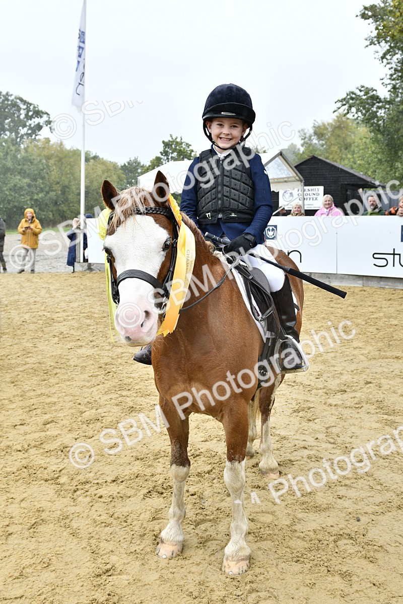 SBM_71043 - J3 - Mini Tour Junior Pony 40cm championship