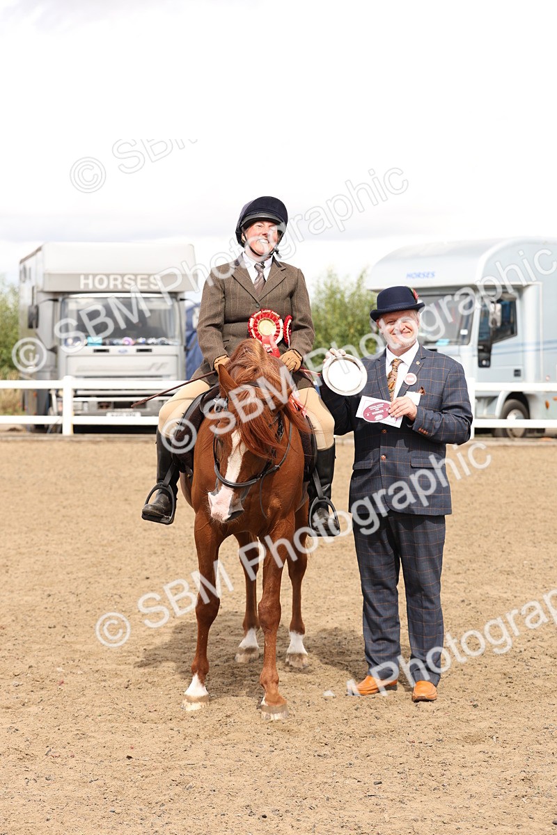 SBM_05236 - Class 56b -  Style & Performance - 50cm (20+)