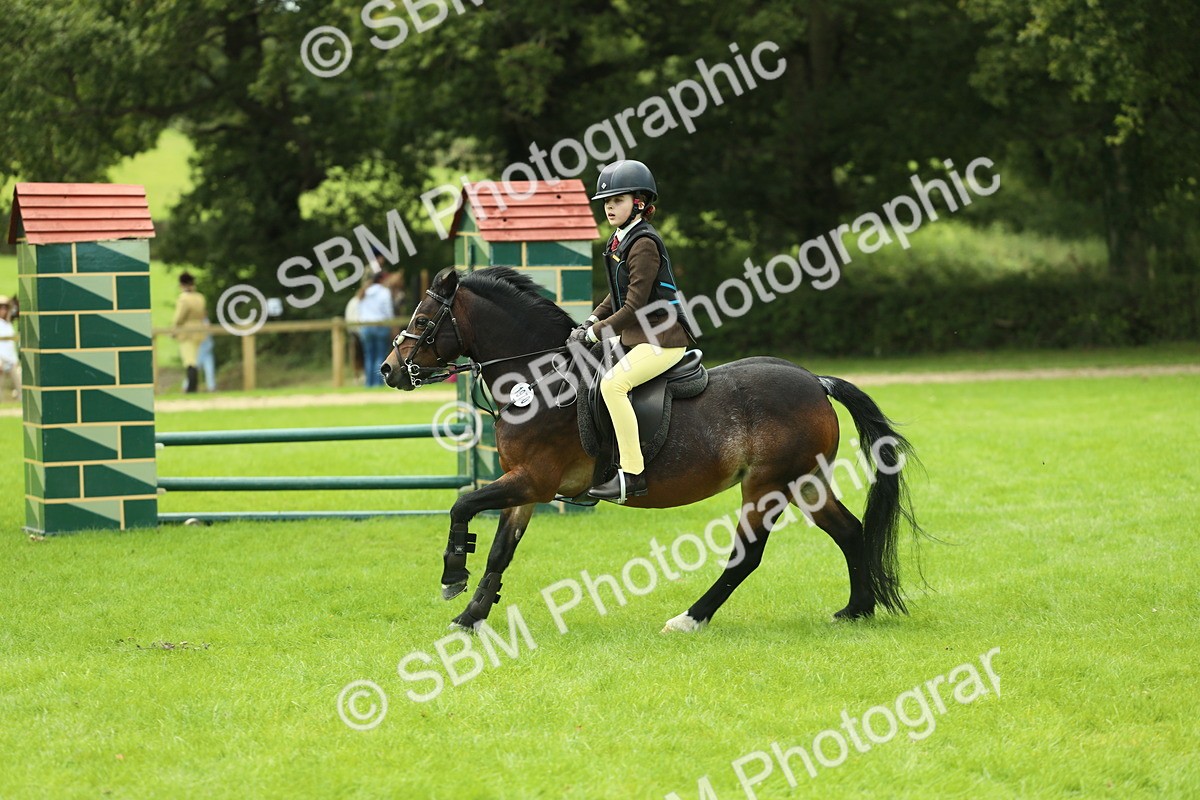 SBM_42757 - S30 - M&M Working hunter Pony