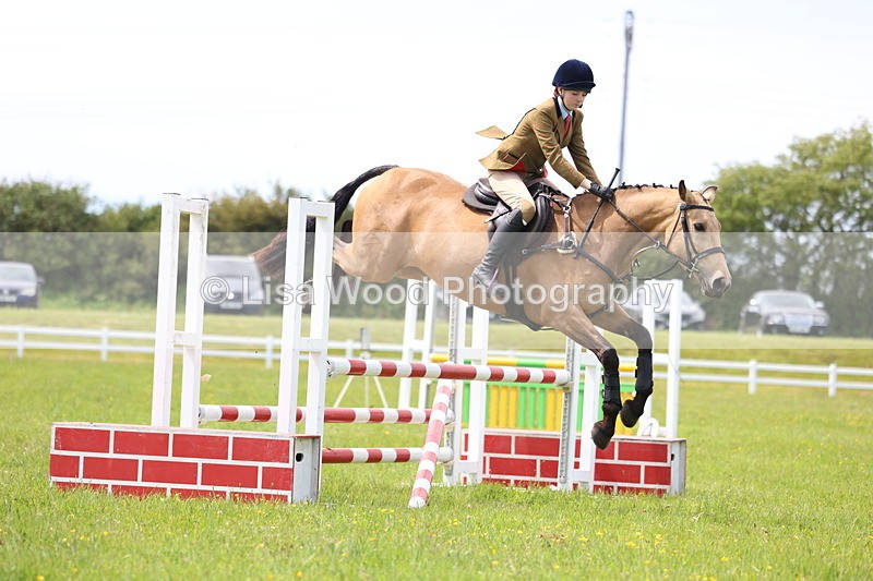 3E7A1424 - Class 13: Senior British Novice/90cm open