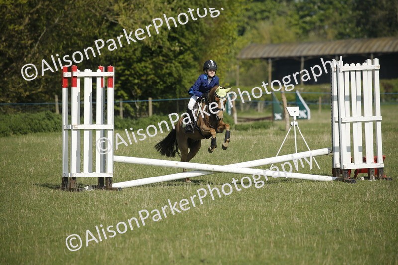 20250427-0353 - Class 12 - Rookie Jumping 40cm