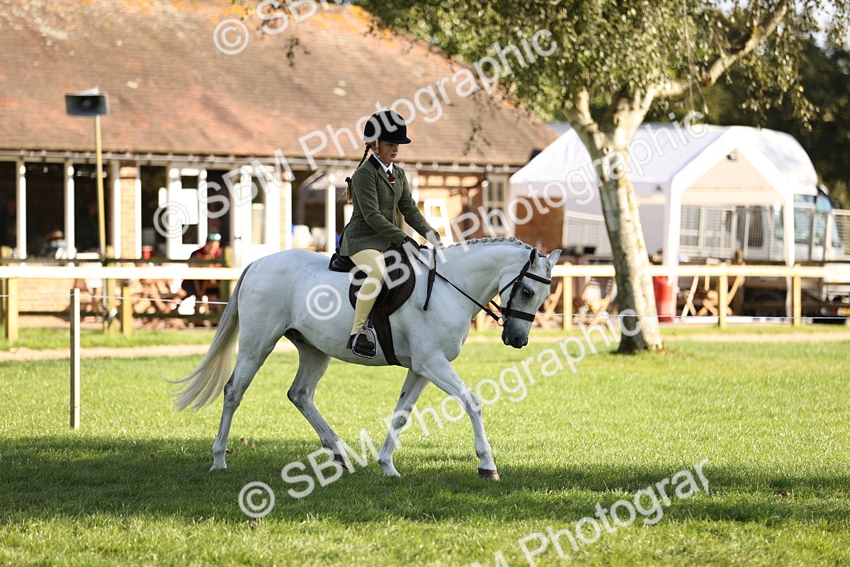 SBM_29348 - S7 - Novice & Newcomers Ridden Pony