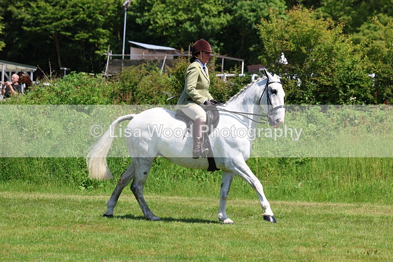 3E7A8276 - Class 13: Ridden Hunter