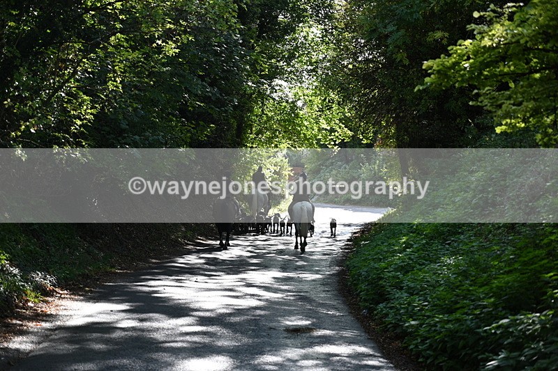WJ7_6038 - Hounds Water Crossing