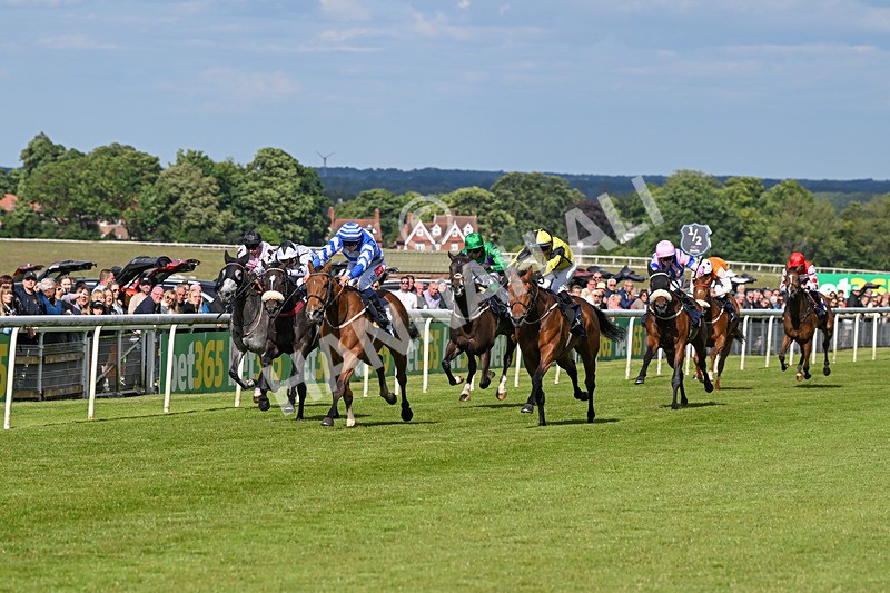 080624-Race 7-This Years Love-2021 - Race 7