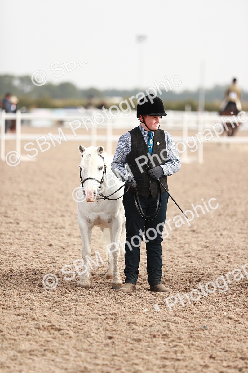SBM_10584 - Class 204 Young Handler, 11-16 years