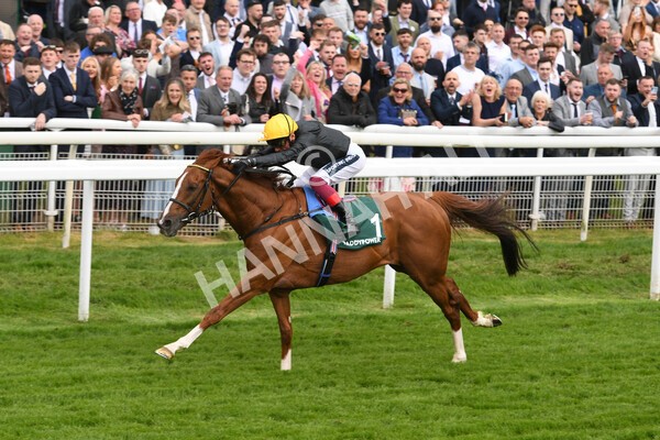 yr13052022r4-46 - Race 4 3.35pm The Paddy Power Yorkshire Cup (British Champions Series Race)