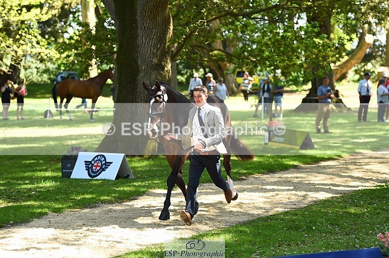 230524-151006-00100 - 309-PLOT_TWIST_B-Tom_Jackson-WEDTrotUp+DR