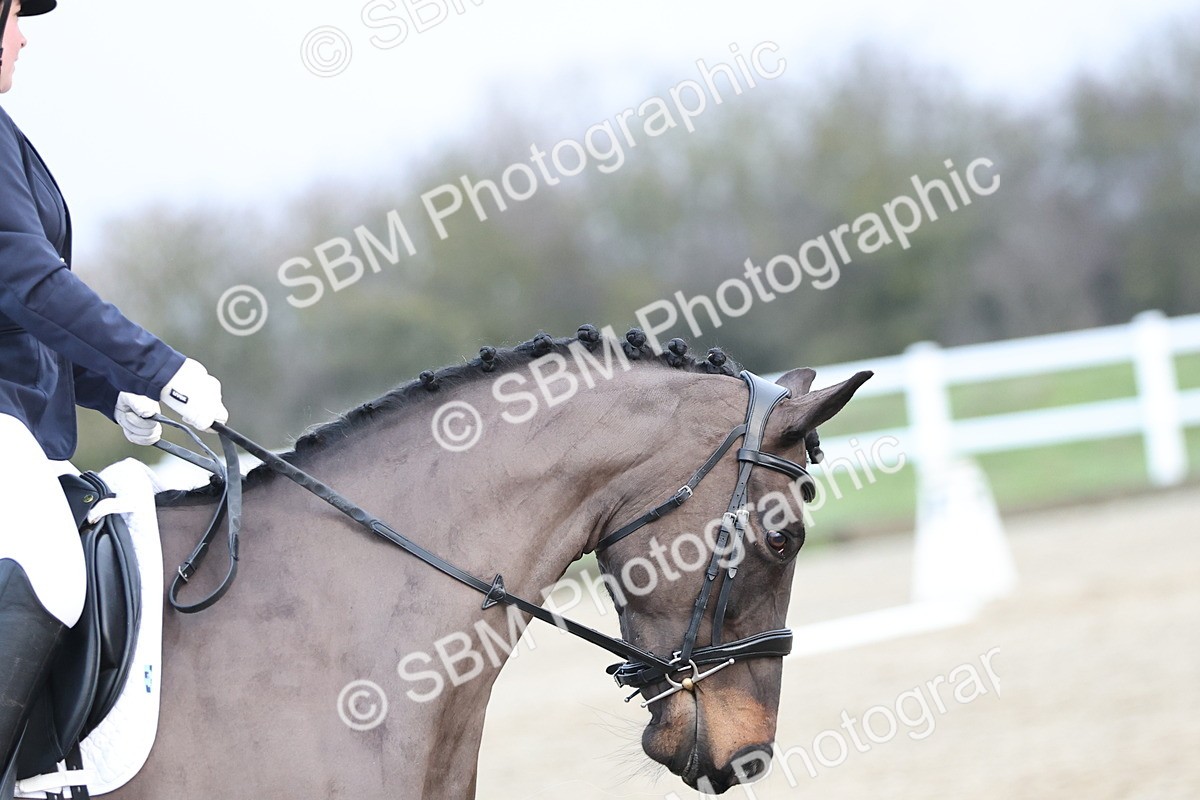 SBM_000810 - Prelim 1