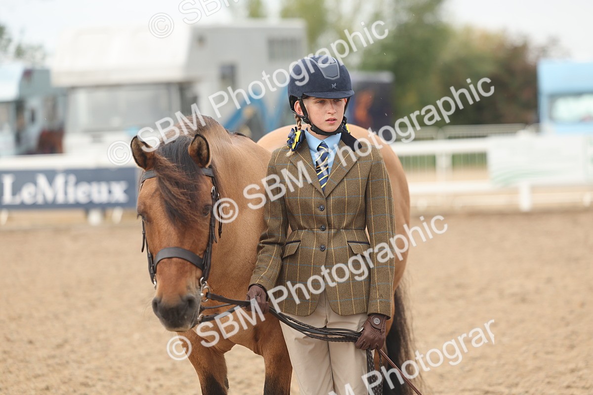 SBM_00607 - Class 13 Young Handler