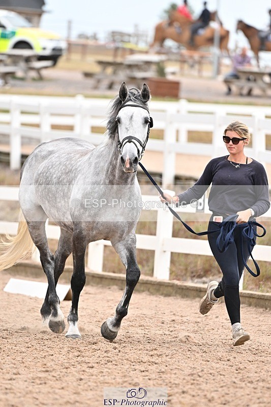 250716-155538-02289 - Trot Up 3.30 to 4.30