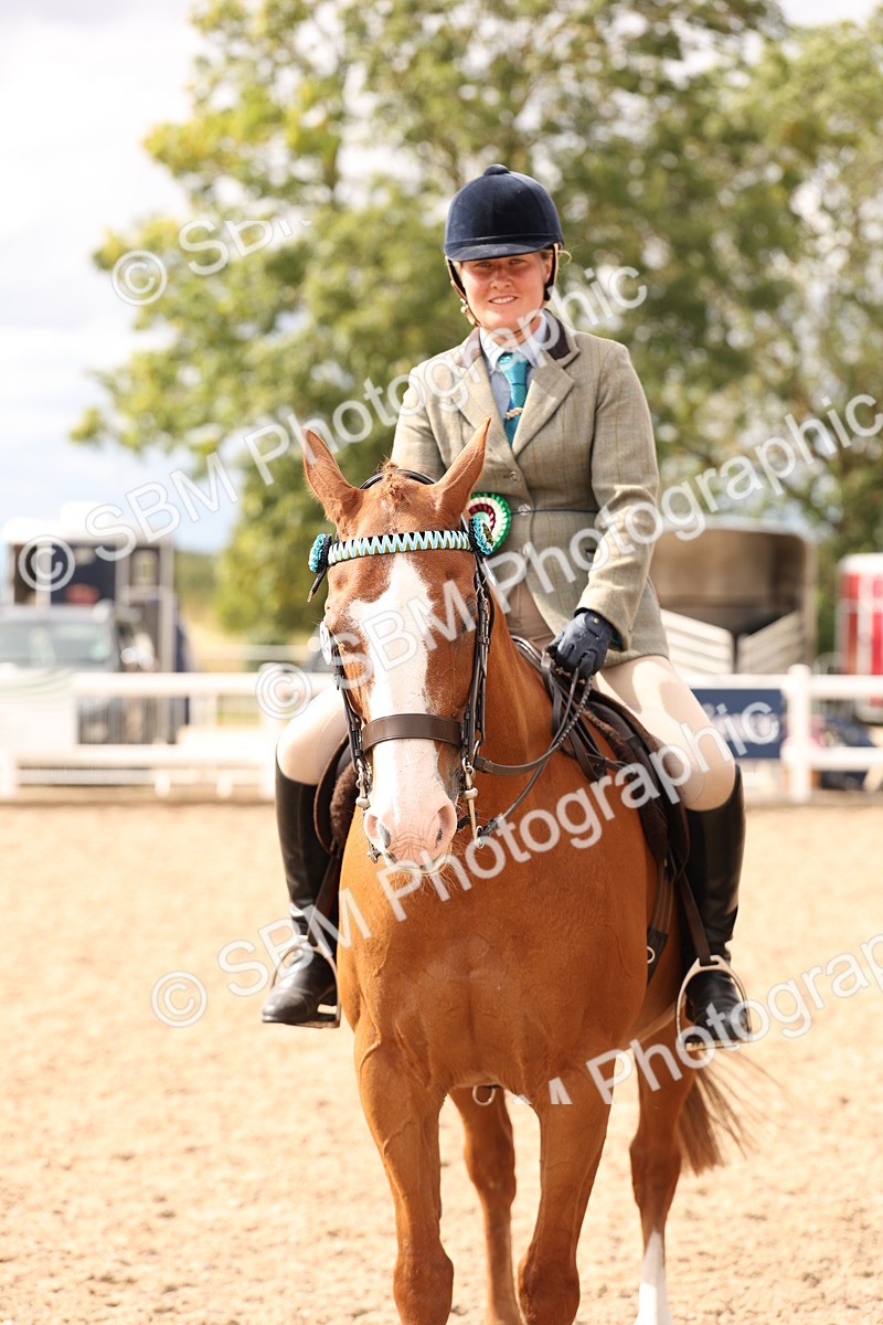 SBM_17382 - Class 214 - Ridden Hack Riding Horse