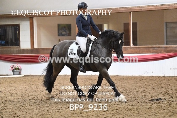 BPP_9236 - ELEM 6