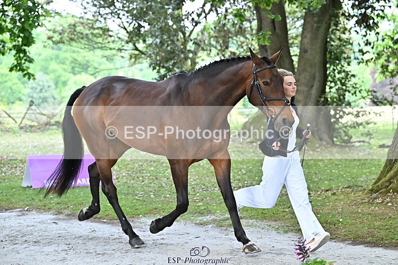 250521A-144222-00179 - A-054-Alice.Gates-SHANBEG.PANDORA