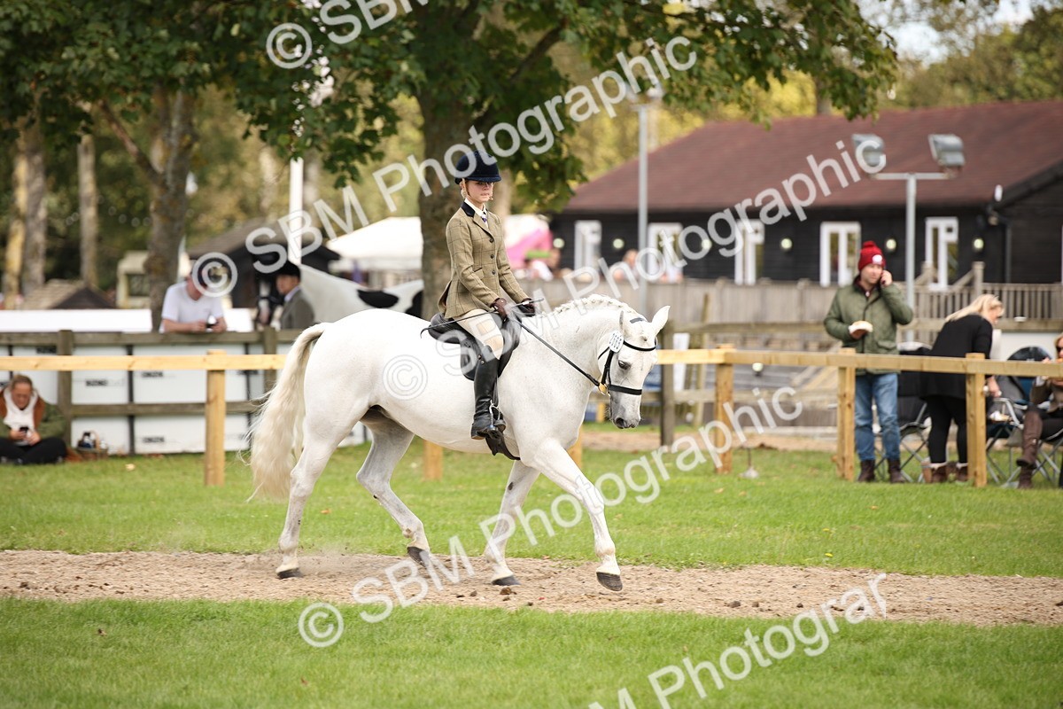 SBM_42329 - S13 - Pony Club Pony