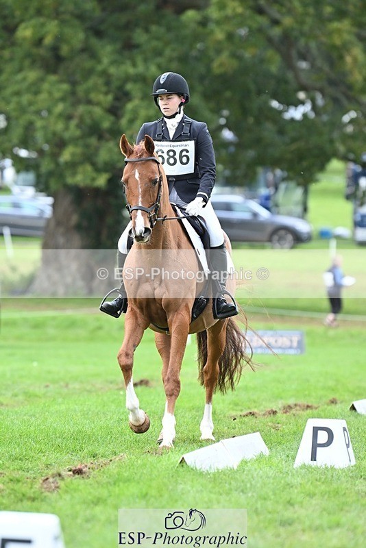 231020-153054-11505 - 686-MOORLAND.MAGIC-Charlotte.Chard-DR