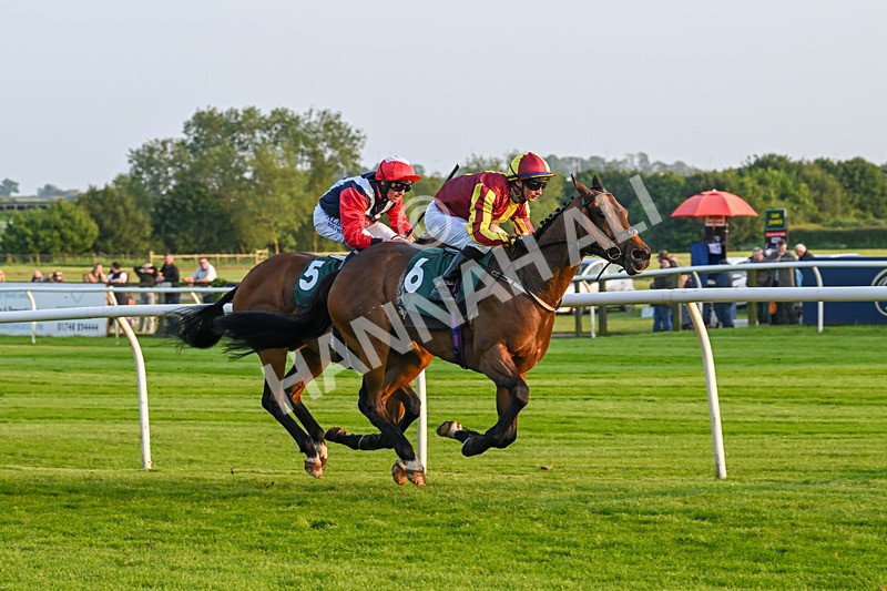 310524-Race 4-Albegone-8780 - Race 4