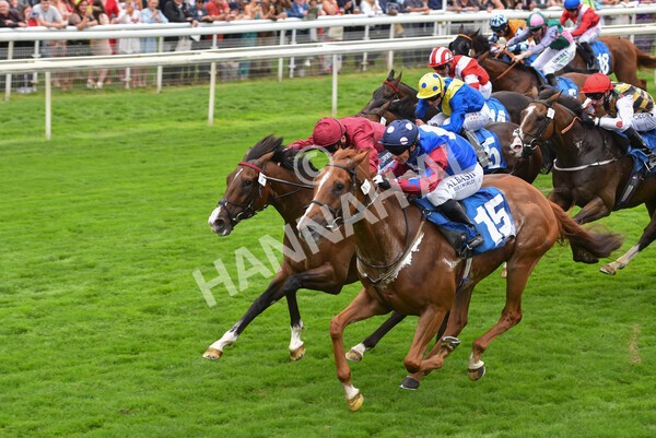yr19082021r3-45 - Race 3 3.00pm Clipper Logistics Stakes