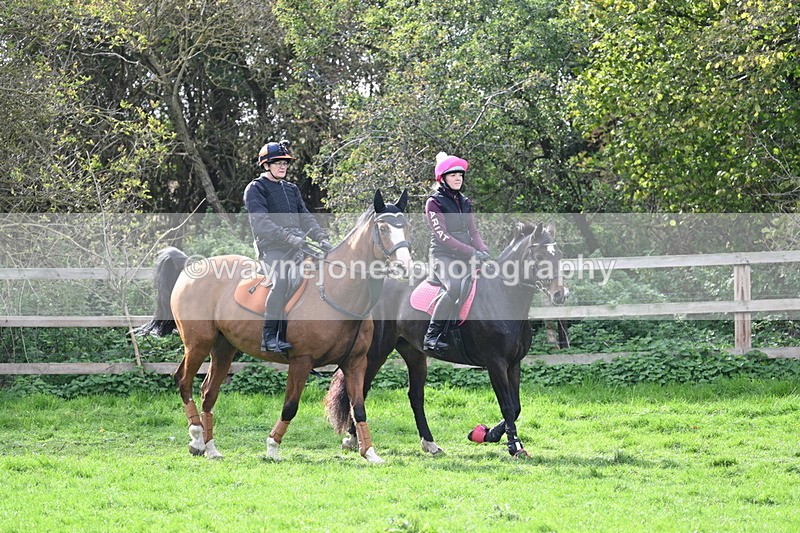 WJ7_0416 - Time 13:55 to 14:26